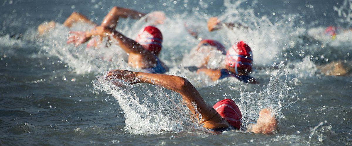 Zwembril met gepolariseerde glazen: dé bril voor openwaterzwemmers!